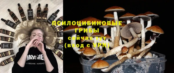 амф Алексеевка