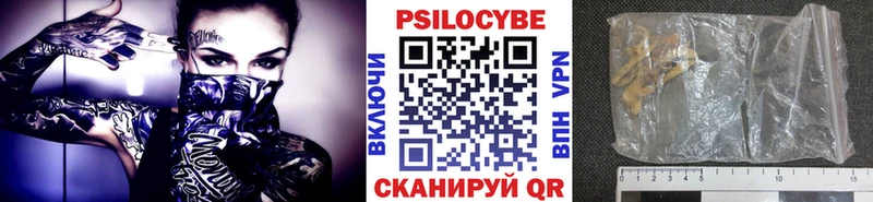 Купить закладки  Мамадыш  Галлюциногенные грибы MAGIC MUSHROOMS 